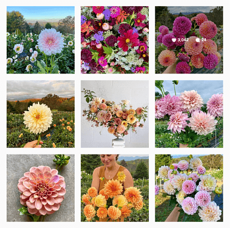 Start a Gardening Business Flower Farm