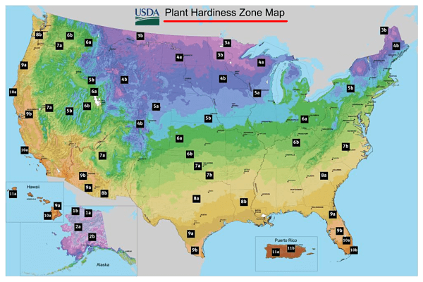 Start a Gardening Business Plant Hardiness Zone Map