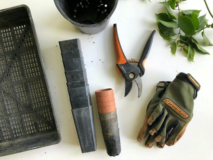 Start a Gardening Business Tools