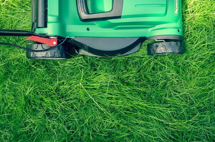 Start a Lawn Care Business Lawnmower